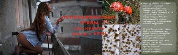 дживик Алексин