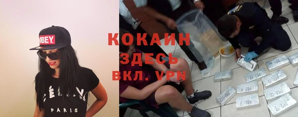 дживик Алексин