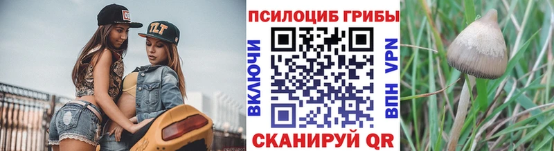 гидра tor  Куйбышев  Галлюциногенные грибы MAGIC MUSHROOMS 